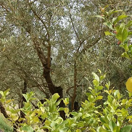Agriturismo Il Cappuccio Landhaus