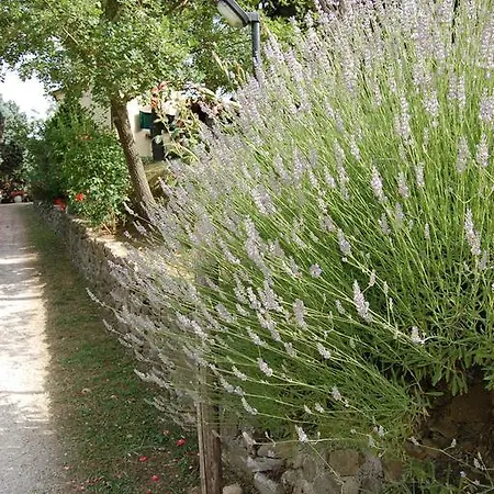 Agriturismo Il Cappuccio Country house